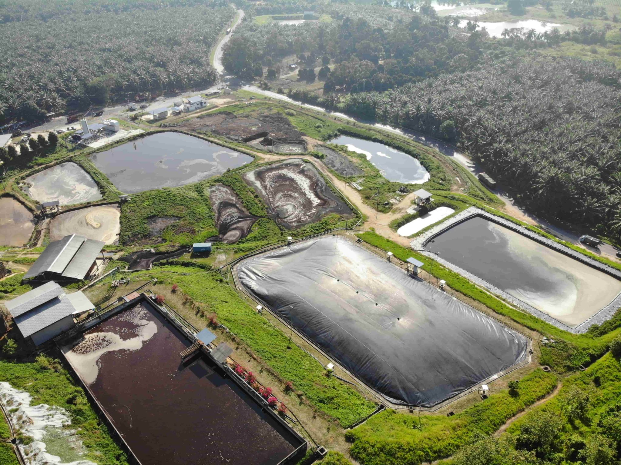 Topaz Emas Palm Oil Mill - Green Lagoon